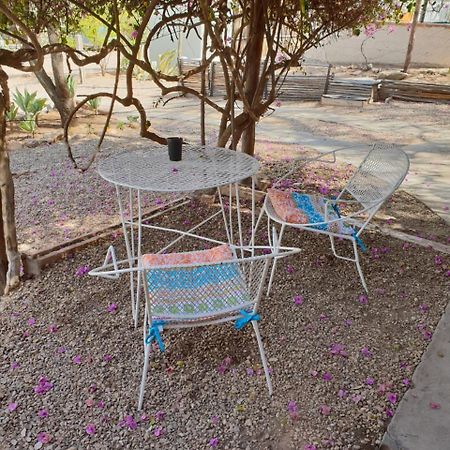 Oasis Shanti Backpackers Oudtshoorn Bagian luar foto
