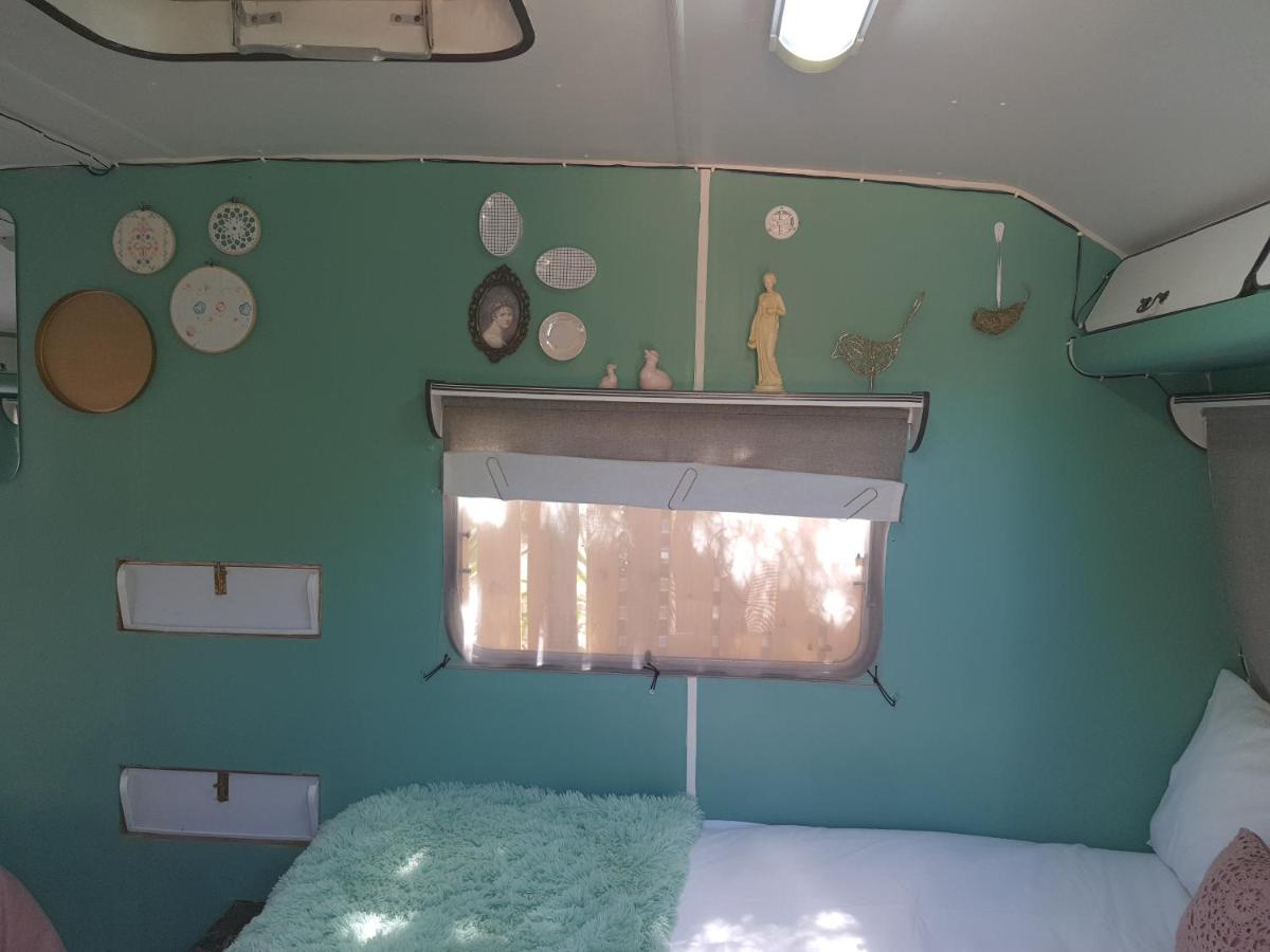 Oasis Shanti Backpackers Oudtshoorn Bagian luar foto