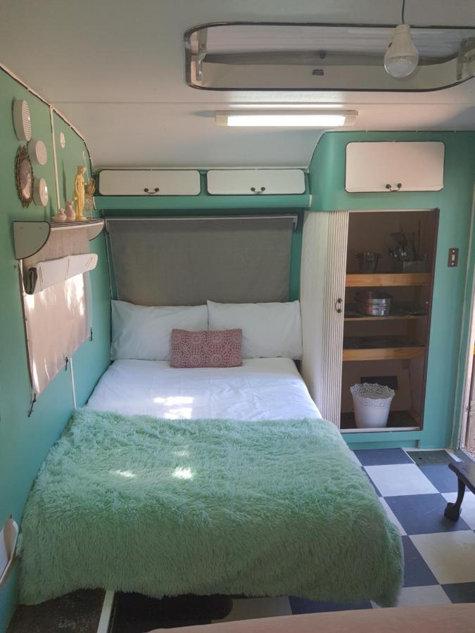 Oasis Shanti Backpackers Oudtshoorn Bagian luar foto