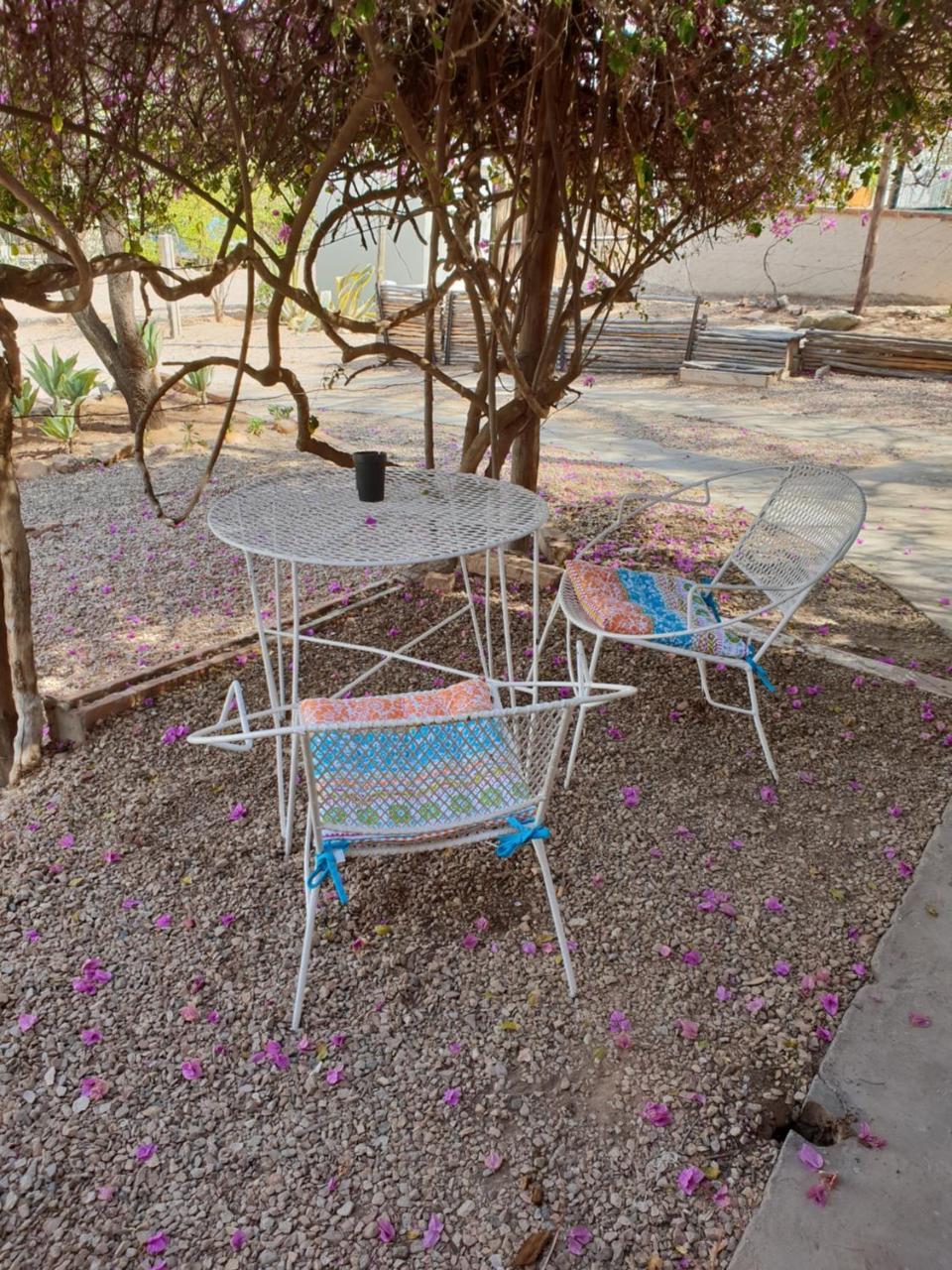 Oasis Shanti Backpackers Oudtshoorn Bagian luar foto